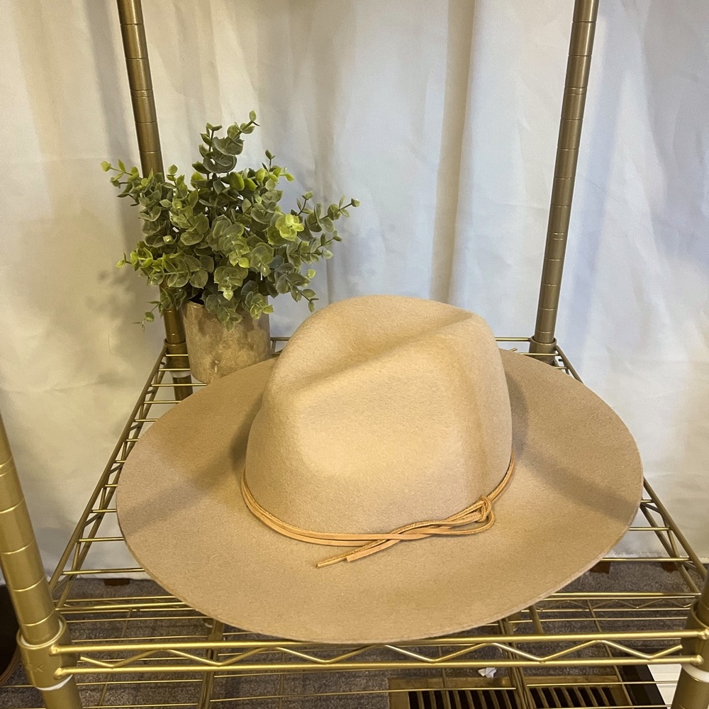 Phenix wool fall/winter stylish hat. New with tags!
